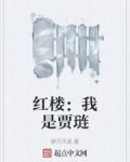 红楼：我是贾琏