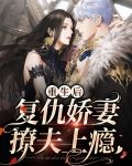 重生后复仇娇妻撩夫上瘾