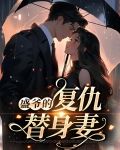 盛爷的复仇替身妻