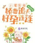 八零宠婚：娇妻追夫好孕连连