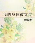 我的身体被穿过