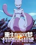 重生在宝可梦，我的后台超硬