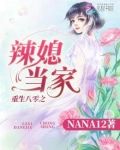 重生八零之辣媳当家
