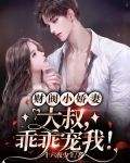 财阀小娇妻：大叔，乖乖宠我！