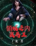 领域之内我为王