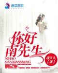 你好，南先生