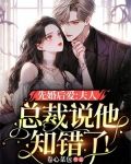 先婚后爱：夫人，总裁说他知错了！