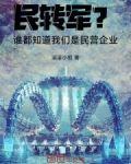 民转军？谁都知道我们是民营企业