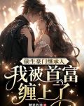 偷生豪门继承人，我被首富缠上了