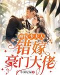 神医少夫人：错嫁豪门大佬