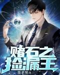 赌石之捡漏王