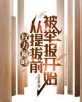 权力巅峰：从提拔前被举报开始