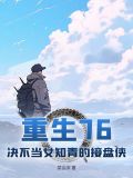 重生七六知青的小说