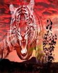从今天开始成为百兽之王