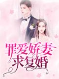 罪爱娇妻求复婚贺西洲