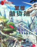 至尊杂货铺